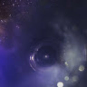 Meet your Posher, Riley